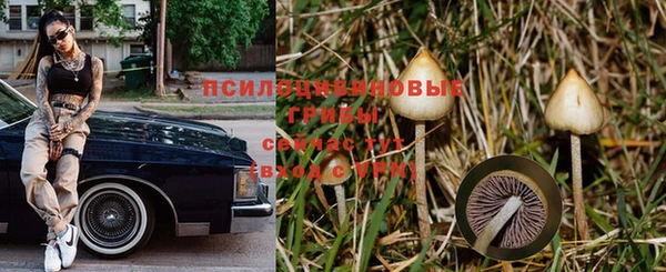 крисы Алексеевка
