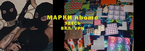 прущий лед Алзамай