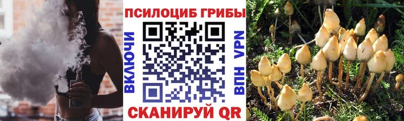 Галлюциногенные грибы ЛСД  ОМГ ОМГ вход  Сасово 